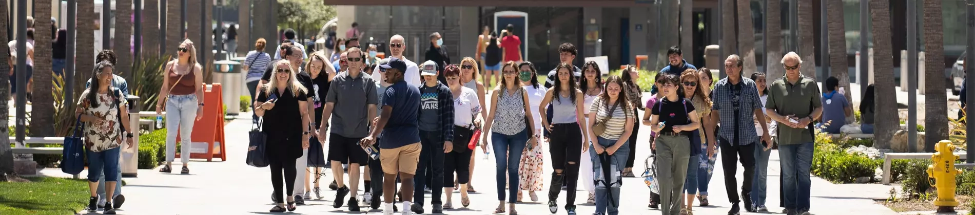 Linguistics, Applied Linguistics